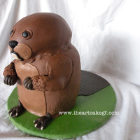 Beaver Cake for the 30th birthday of a friend.