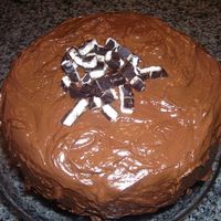 Peppermint Pattie Cake This was such a yummy cake! I made it for Christmas dessert! It is a chocolate cake with a peppermint buttercream filling! It was my first...