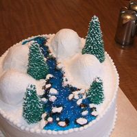 Winter Scene I made this cake for my aunt's birthday in winter. Buttercream icing with gel icing for the water, chocolate candy rocks and...