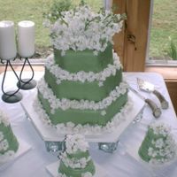 Crystal's Wedding Cake This cake was a lemon cake with green fondant icing. The cakes in front were made for the mother of the bride, the father of the bride and...