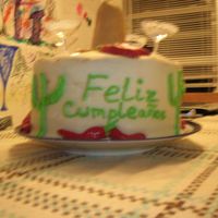 Mexican Cake- Side View Got this idea from ShirleyW, original design by Wilton. My housemate was turning 21 and requested a Mexican themed cake, this was perfect....