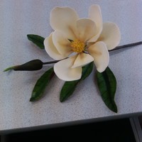 Gumpaste Magnolia Gumpaste magnolia that I made in a Nicholas Lodge class