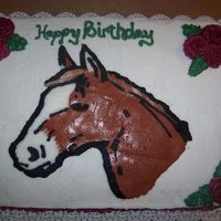 Birthday Horse BC horse transfer, it was a last minute cake ordered for a christmas eve birthday. The birthday girl is diabetic so the least amount of bc...
