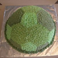 Teenage Mutant Ninja Turtles I made this for a neighbor's son who wanted Teenage Mutant Ninja Turtles for his party. I used the Wilton soccer ball pan and just...