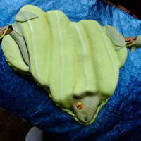 Green Tree Python Marble pound cake with MMF