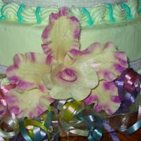 Ivory And Fuschia Orchid This is my first gumpaste orchid. I used pearl luster dust and fuschia on the edges.