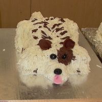 P1010056_2.jpg I really enjoyed this class making this cake. It's made out of buttercream frosting and some fondant.