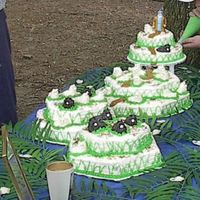 Pastor App Day This Cake has 16 hours in it from makeing sheep from icing we had our Pastor Appreacion Day at the park so we had a lot involved in making...