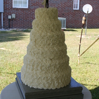 Buttercream Rosette My biggest cake to date, top 4 tiers are White Almond sour cream, botttom 2 are cake dummies! I love this cake, thank you I am Baker for...