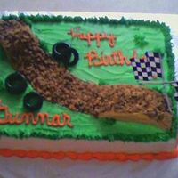 Motorcross Birthday This is a Marble 1/4 sheet cake with BC frosting. I uesed molded rice crispies for the jumps and chopped up Reeses peanutbutter cups for...