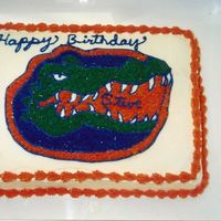 Gator's Cake This was for a Gator Fan, who lives in TN. But I did it anyway.