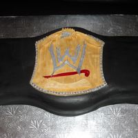 Wwe Champ Belt For my son. Wasn't happy with the gold color but he luved it.