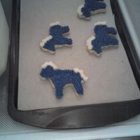 Colts Cookies I made these sugar cookies That I decorated with BC icing for a Super Bowl Party for the Colts vs. Bears. They were a real hit & were...