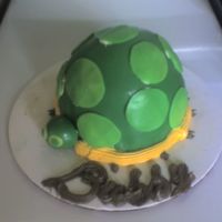 Turtle My G-ma bought me the Wilton mini wonder mold pan while I was visiting with her in IL. as well as some Fondant. I have 3 younger cousins so...