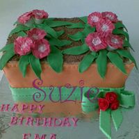 Flower In The Pot Pink flower in a pot..