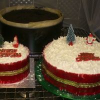 Christmas Cakes 2007 Various Christmas cakes made by me