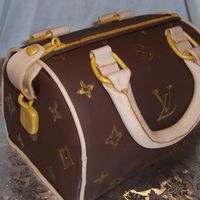 Louis Vuitton Purse My first purse cake! Choc. fondant.