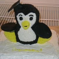 Jessica's Graduation Cake First 3-D cake. made from the 3-D bear. first time I used fondant.