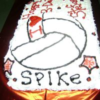 Girls Volleyball My daugthers best friends birthday was on Districts all day so I nade her this cake. Sheet cake w/ round pan for volleyball 3-d affect.