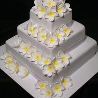 Tropical Wedding Cake Three tiered cake with scattered frangipanis.