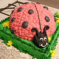 Ladybug Cake This cake of course, was inspired by a combination of cakes on this site. It's strawberry with buttercream frosting on the bottom and...