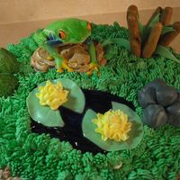 Frog Cake 10" tiramisu cake, covered in WBC BC, decorated to be a frog/pond/grass scene. Fondant accents, piping gel pond, RI lily flowers (...