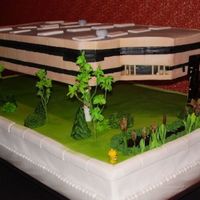 Dan's Retiring DH's friend retired, replica building of the company retiring from. My first all-nighter. bottom 'Land' cake 33" x 20&...