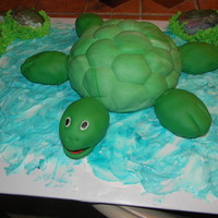 Green Turtle 