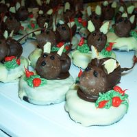 Christmas Mice After dipping all those darn oreos in white chocolate, I THEN found the white fudge oreos at Target after looking for them everywhere. I...