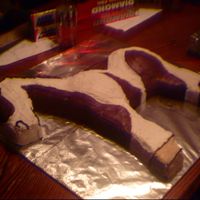 Painted Pony buttercream on hand carved choc. cake