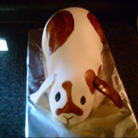 Mini Lop Rabbit mmf covered cake , gumpaste ears.