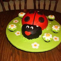 Ladybug Cake Ladybug cake with thin mint spots.