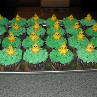 Easter/chick Cupcakes Chocolate cupcakes with buttercream with grass tip and buttercream chicks. I made over 100 of these!