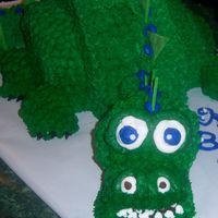 Dinosaur Birthday Cake! Devil's food cake iced in BC. Fondant spikes on his back. I thought he was so cute. I had to reduce this picture 100 times to get it...