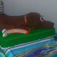 Dachshund Cake Vanilla cake sheet with chocolate cake dachshund. Iced in BC. Ears and tail are gum paste. This was for my daughters 2nd b-day. She had a...