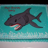 Charlie's Shark 
