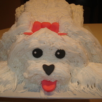 Puppy Cake Totally inspired by CC! Eggless cake with vanilla buttercream. Some fondant accents.