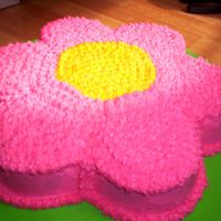 Hot Pink Daisy Cake I made this for my niece's b-day. This is one of the first cakes that I've ever decorated..sure did learn alot from it. yellow...