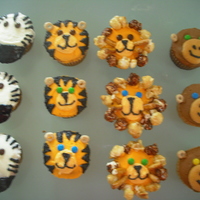 Safari Cup Cakes 