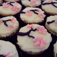 Buttercream Cherry Blossom Cupcakes Cherry blossoms piped using a #101 tip. Buttercream icing recipe is from Australian Women's Weekly.