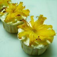 Carrot & Pineapple Cupcakes Carrot & pineapple cupcakes with vanilla buttercream & baked pineapple topping.