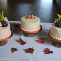 Fall Wedding I was a bridesmaid in my cousin's wedding, and also did the cakes. She wanted 3 8" rounds in a tan color, and 130 cake pops:) All...