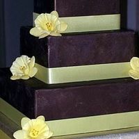 Chocolate And Daffodils Chocolate fondant with ribbon trim and daffodils.