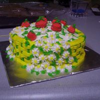 My Very First Cake I made this cake for a friend. It is the first cake I have ever decorated. The icing is a buttercream recipe passed down through the family...