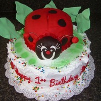 Ladybug Cake I made this cake for a little girl's birthday. The lady bug was a cake made out of fondant...It was so much fun to do.