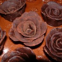 Close Up Close up of chocolate clay roses. First attempt ever.