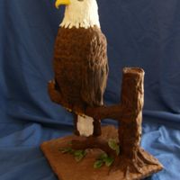Eagle Grooms Cake 