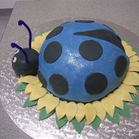 Ladybird - Kant Side view of my Ladybird cake - chocolate cake with fondant accents.
