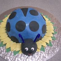 Ladybird Made this cake for a little boy's first birthday. This was a fun cake to make and I got the idea from Debbie Brown's book - 50...