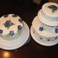 Wilton 3 Class Cakes... 